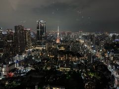 -六本木新城展望台(东京城市景观)