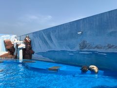 -上海海昌海洋公园-停车场