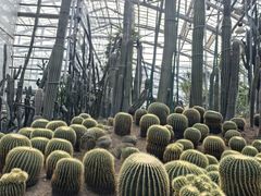 -南山植物园