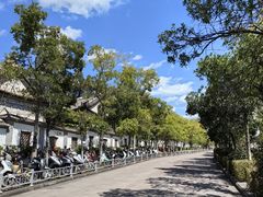 -巍山古城