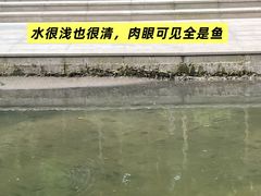 -重庆彩云湖湿地公园