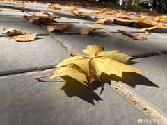 -季季红火锅(长沙步行街店)