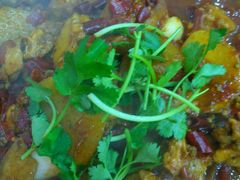 -火狼大盘鸡(团结东路店)