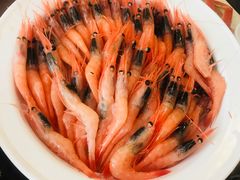 甜虾-黑松白鹿(崇文门新活馆店)