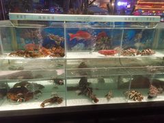 水产区-东南里湖景餐厅·新闽菜(浦西万达店)