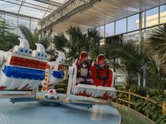 -南宫五洲植物乐园