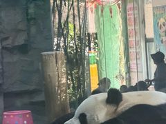 -栾川竹海野生动物园