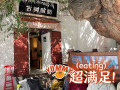 -古树酸奶(八廓南街店)