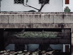 -南园(太仓市)