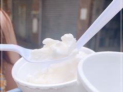 -洪馨椰子