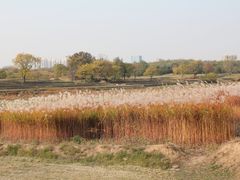 -盘龙城国家考古遗址公园