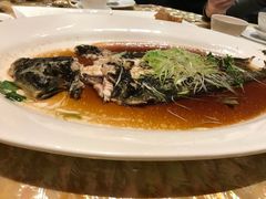 -8餐厅(新葡京酒店)