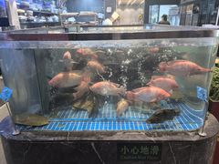 -盛福楼·惠山宴(盛岸路店)