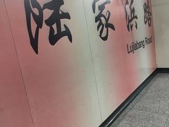 -陆家浜路(地铁站)