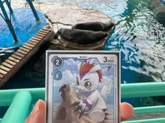 -海合安武汉极地海洋公园
