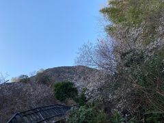 -玻璃桥景区石牛寨