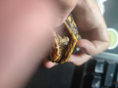 -爱侣宠医·鹦鹉专科·小型哺乳类·异宠专科(灵石路店)