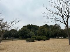 -渤公岛生态公园