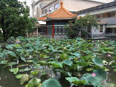 -番禺宾馆丽苑厅