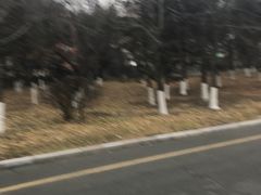 -长春世界雕塑园冰雪艺术天地