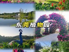 -东莞植物园