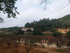 -南国桃园旅游度假区