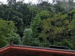 -赤水丹霞旅游区·佛光岩