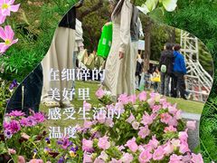 -西苑公园