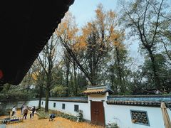 -西湖风景区十里琅珰-五云山