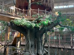 -南宫五洲植物乐园