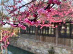 -乌村
