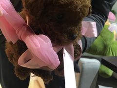 -1013 PET SHOP 宠物商店(近铁城市广场店)