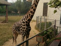 -辛玛王国游乐园