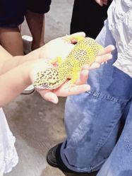 -Zoolung Zoolung动物主题公园(海信广场店)