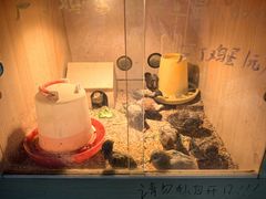 -嘉兴海底世界