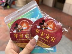 -上海迪士尼度假区