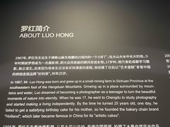 -罗红摄影艺术馆