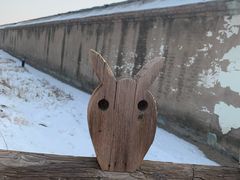 -呀路古热带植物园