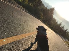 -硗碛藏寨·神木垒景区