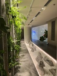 -VELEE·SPA高定疗愈会所