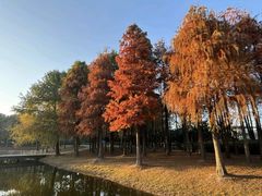 -同里国家湿地公园