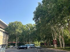 -河南省黄河迎宾馆