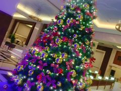 -京津新城温德姆至尊酒店(珠江大道店)