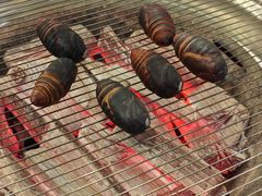 -青瓦餐厅·生鱼片·韩园烤肉(西塔店)