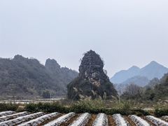 -钟山水墨田园