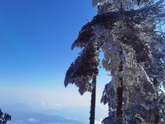 -瓦屋山景区