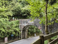 -娄山关景区