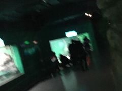 -常州海昌海洋探索馆