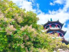 -莱西月湖公园