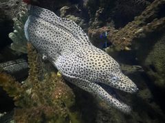 -多彩贵州城极地海洋世界